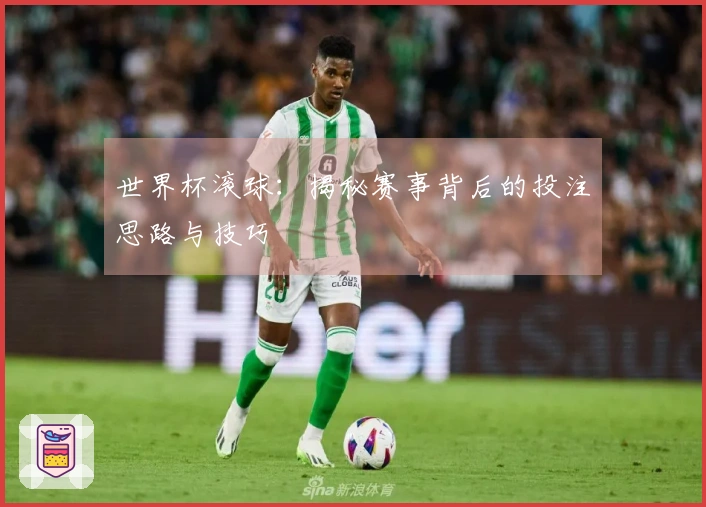世界杯滚球：揭秘赛事背后的投注思路与技巧