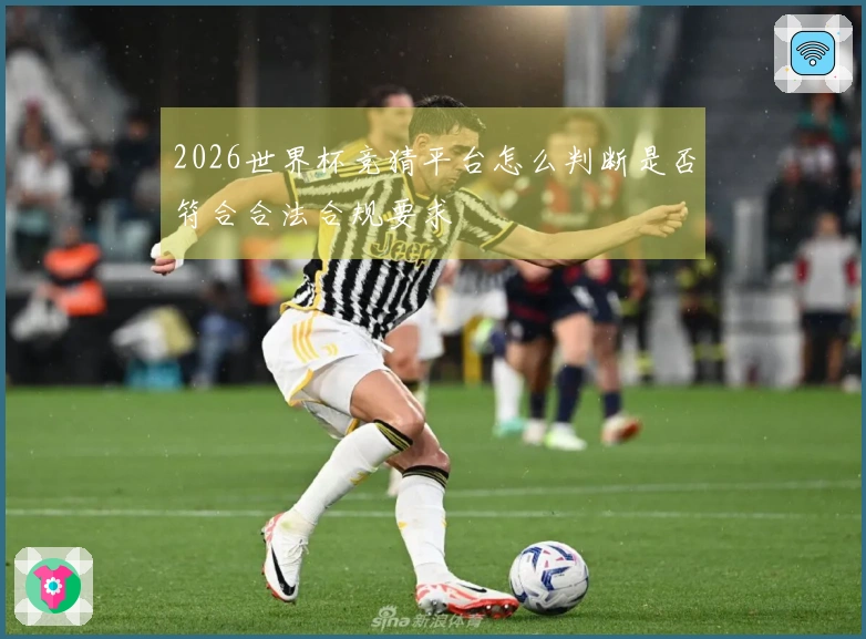 2026世界杯竞猜平台怎么判断是否符合合法合规要求