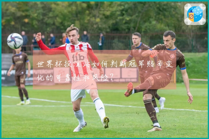 世界杯投注站如何判断冠军赔率变化的可靠性和风险？
