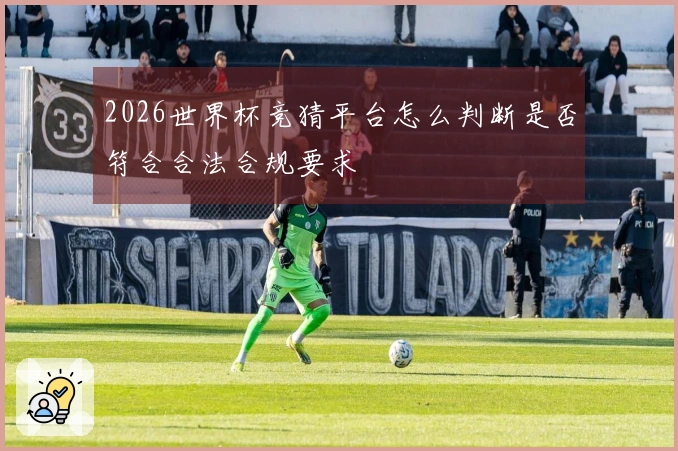 2026世界杯竞猜平台怎么判断是否符合合法合规要求