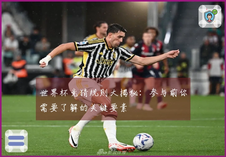 世界杯竞猜规则大揭秘：参与前你需要了解的关键要素