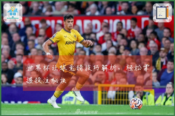 世界杯让球竞猜技巧解析，轻松掌握投注秘诀