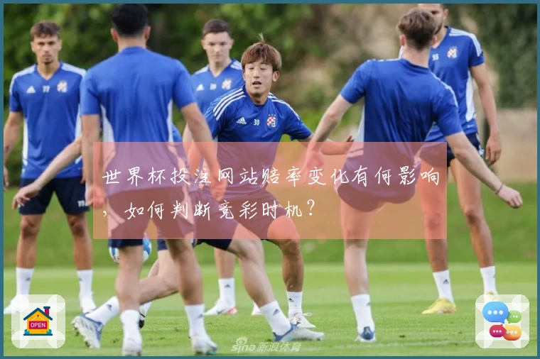 世界杯投注网站赔率变化有何影响，如何判断竞彩时机？
